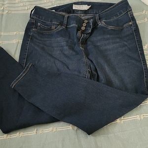 Torrid jeggings